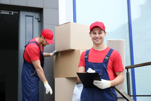 Packing strategies for flat removals in Goddington with labeled boxes
